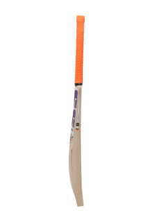 Cricket Bat SS Cannon