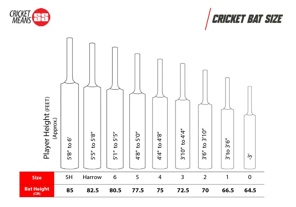 Cricket Bat SS Impact, view 4