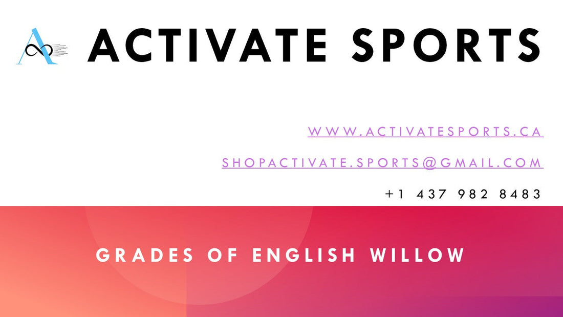 Grades of English Willow
