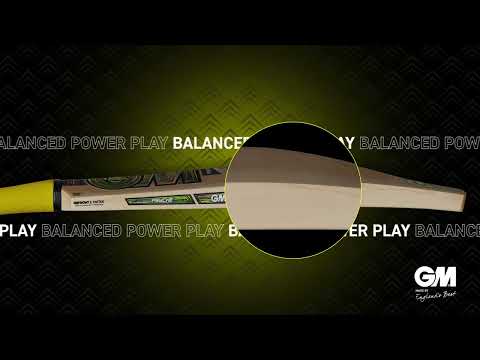 GM Psyche English Willow Cricket Bat